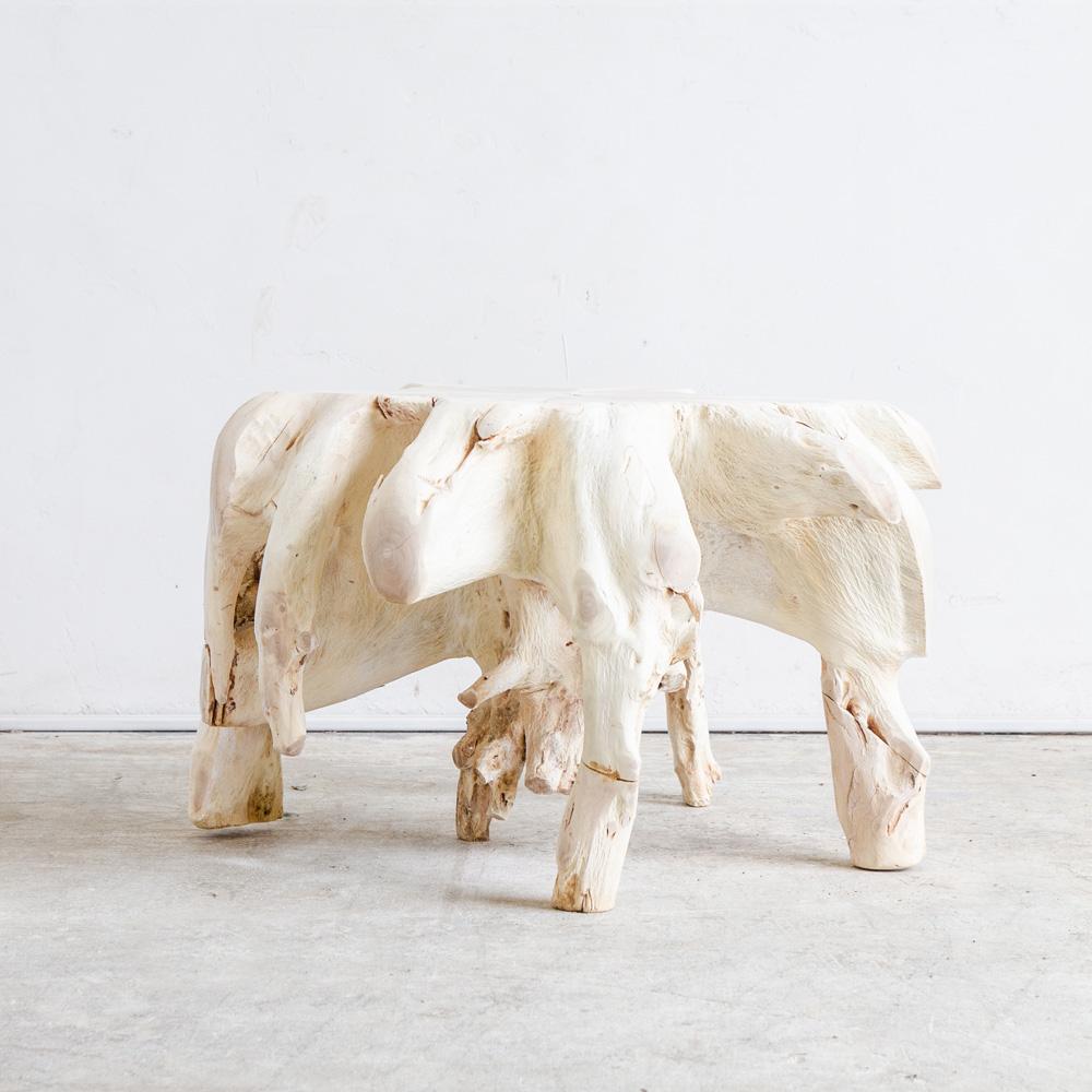Small Bleached Teak Root IV