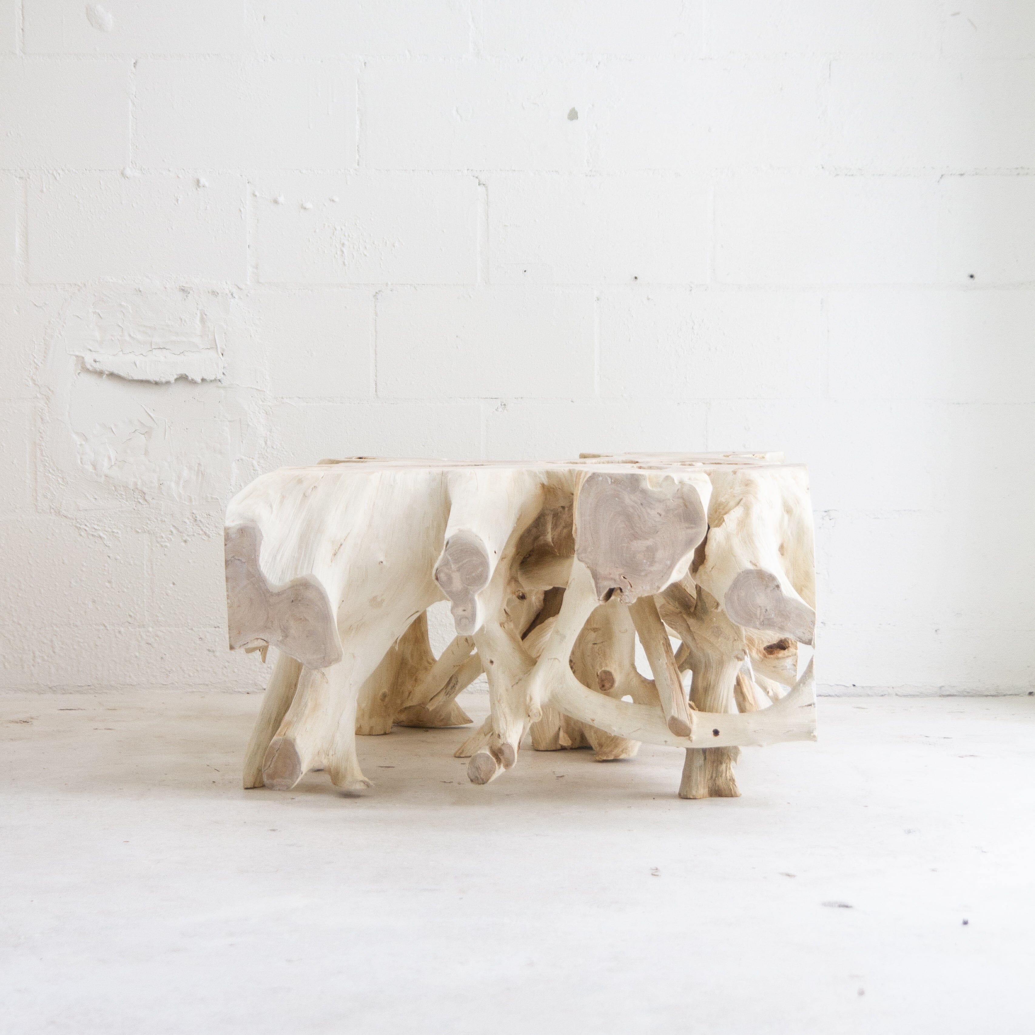 Small Bleached Teak Root - III