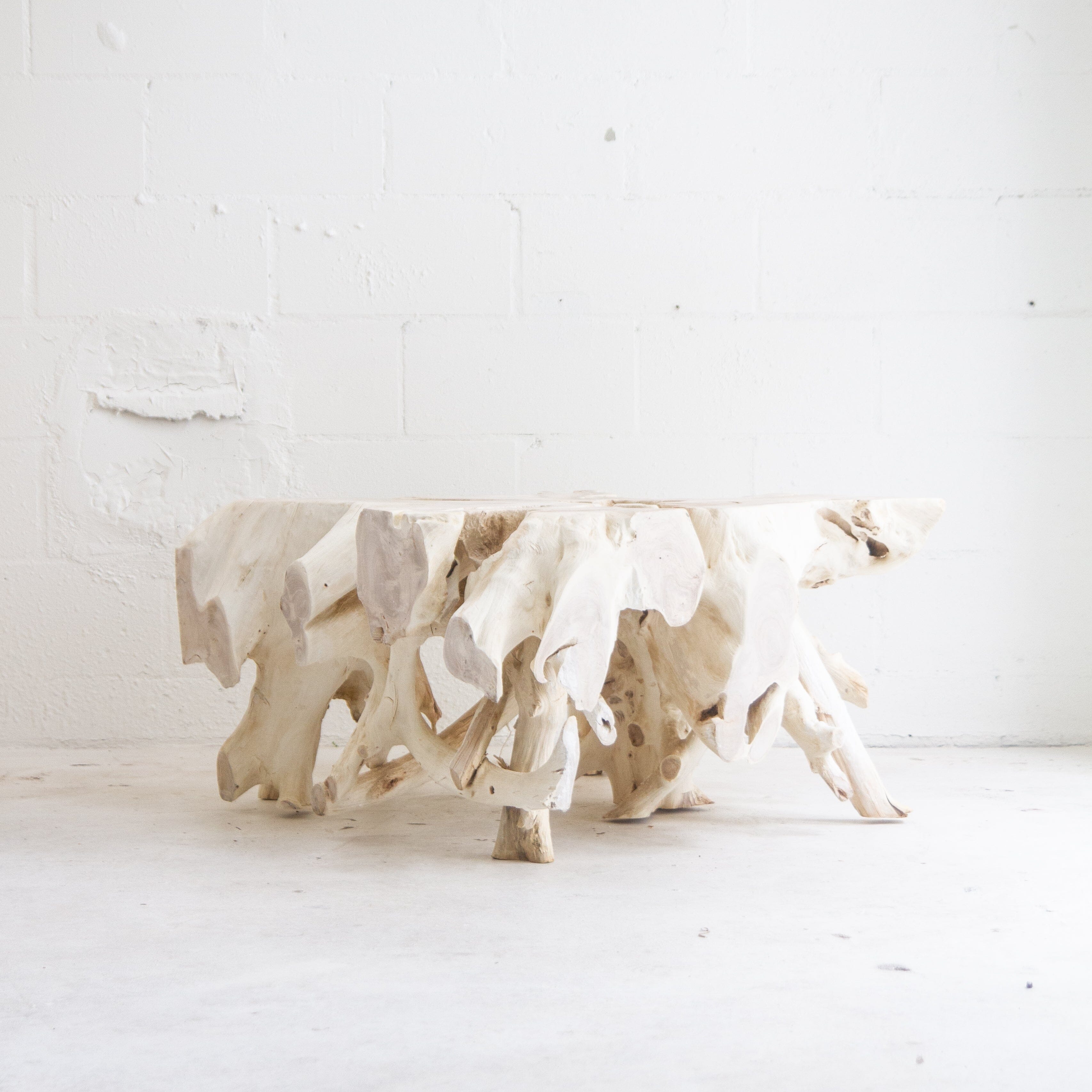 Small Bleached Teak Root - III