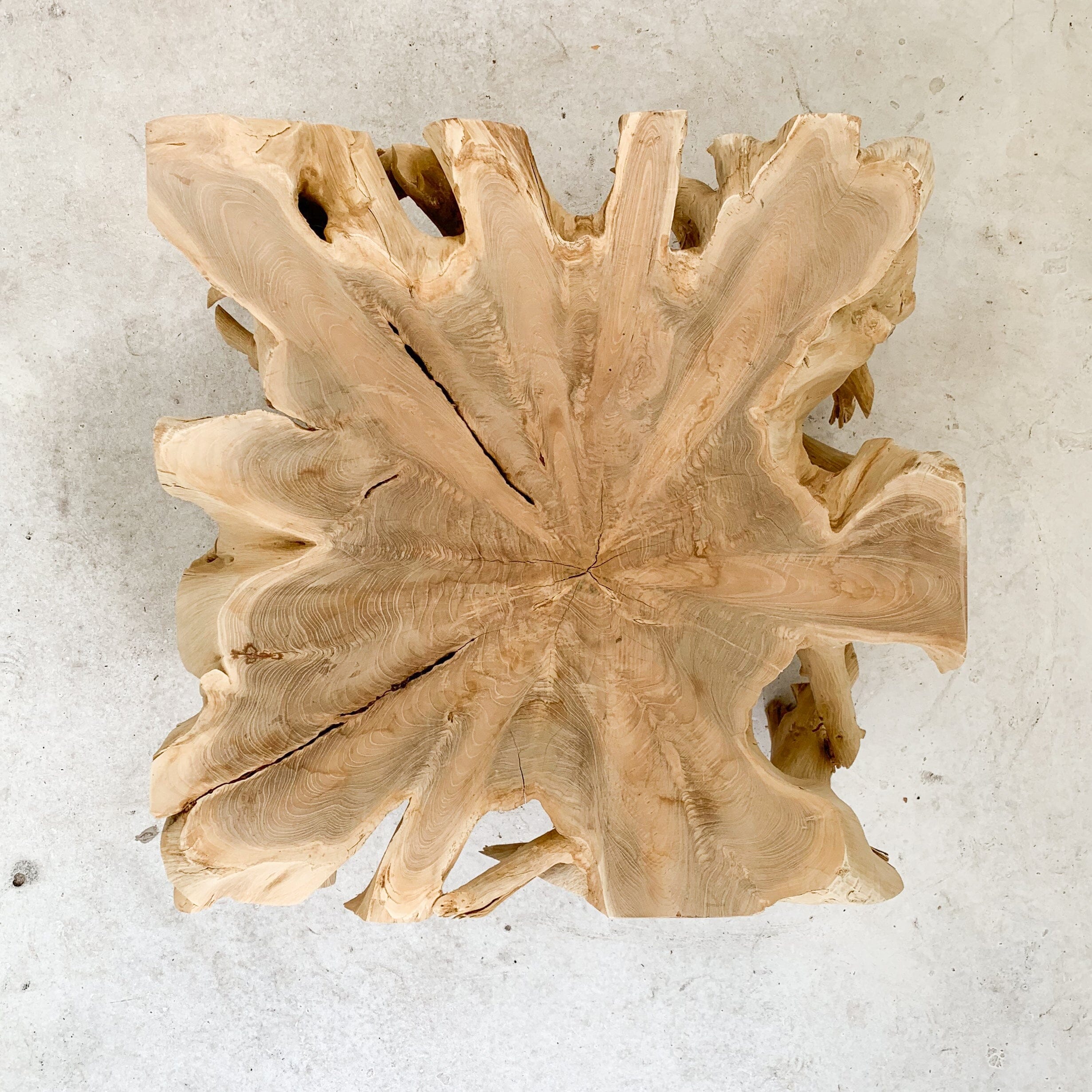 Small Teak Root Table - I