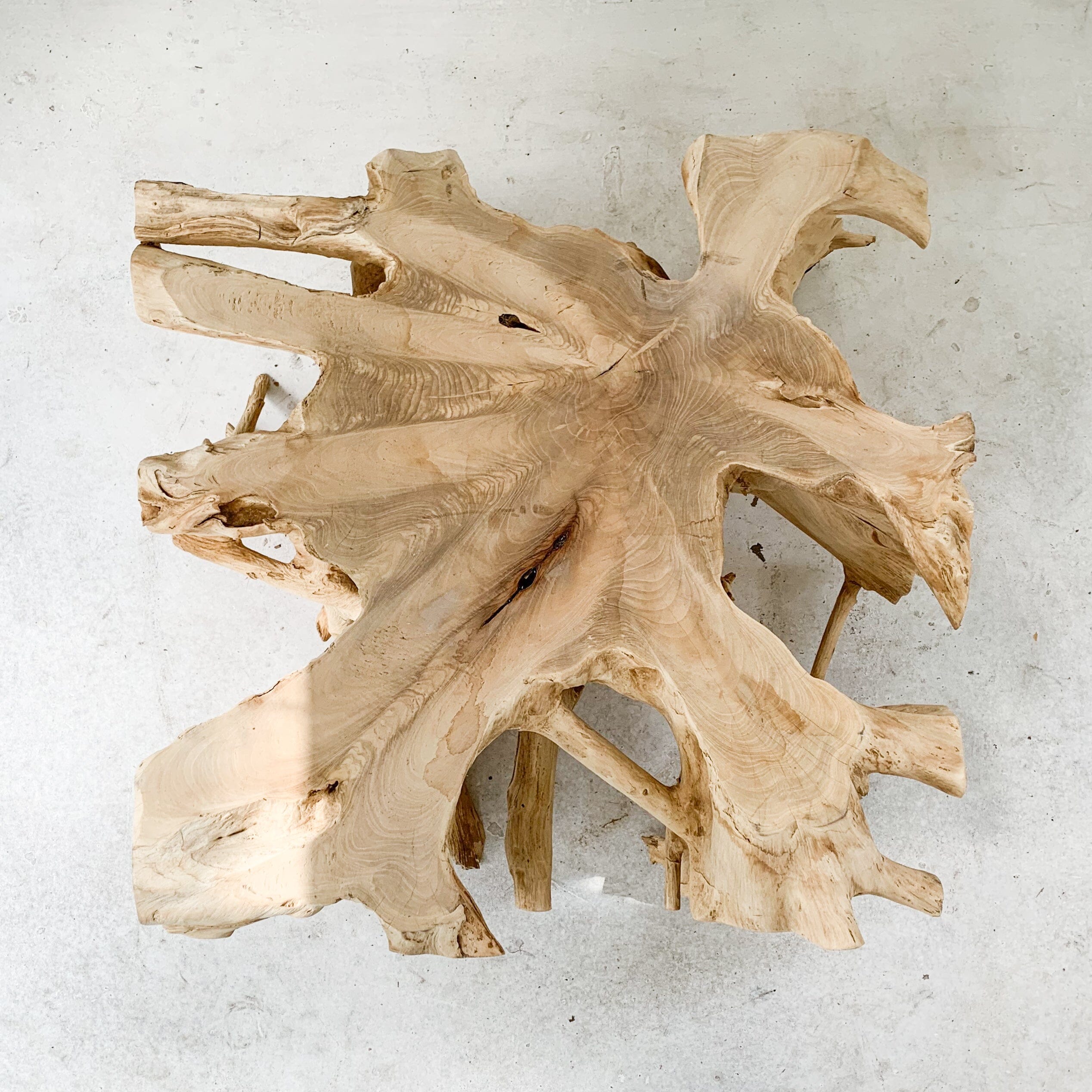 Small Teak Root Table - II