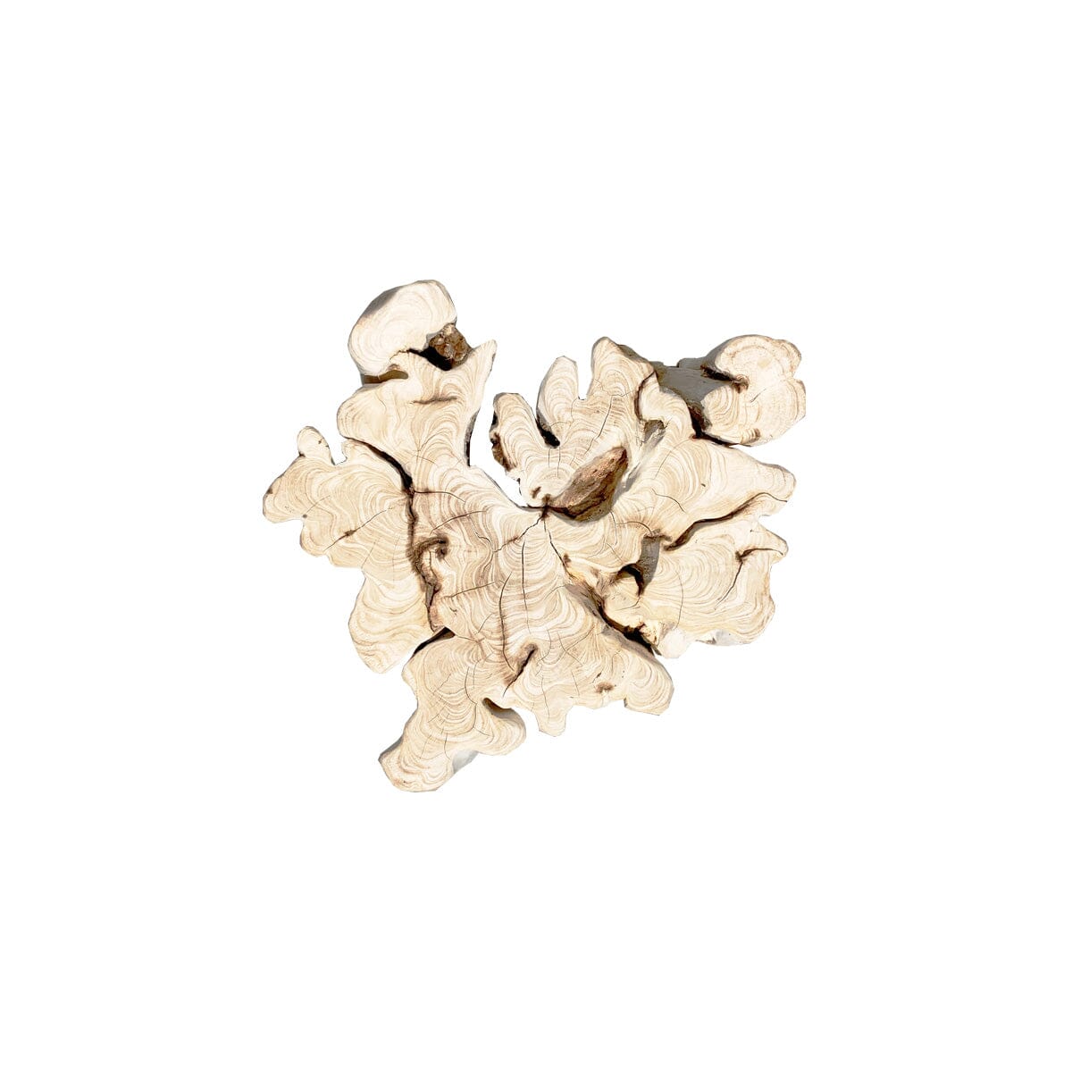 Bleached Root Side Table I