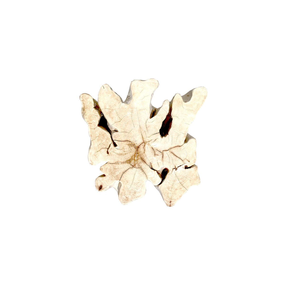 Bleached Root Side Table II