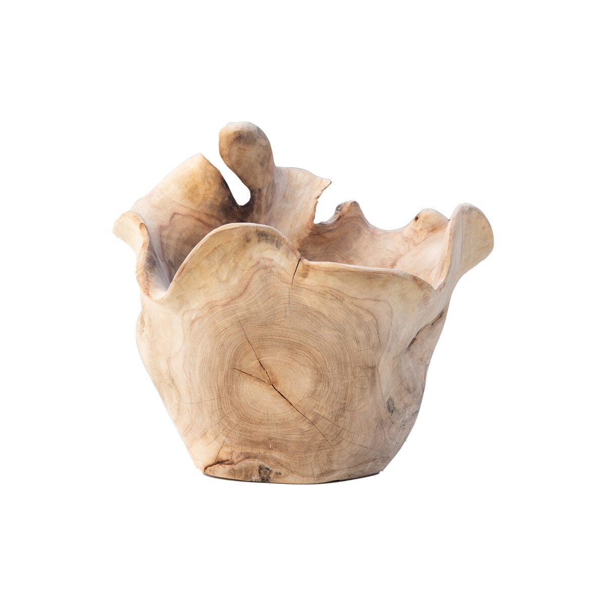 Organic Teak Vessel I