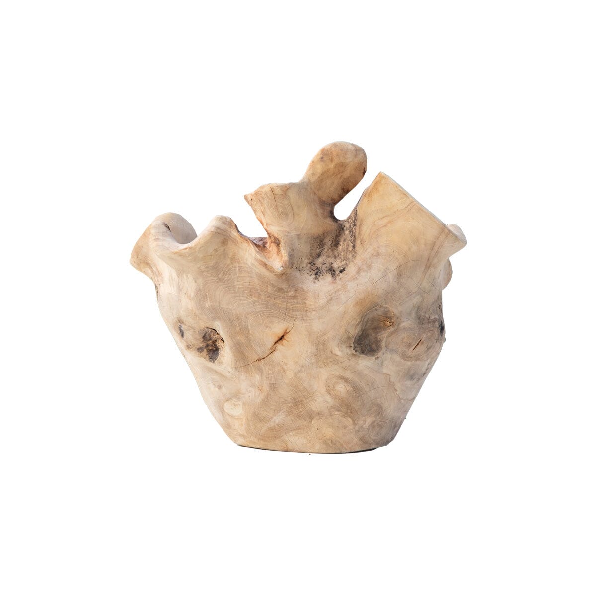 Organic Teak Vessel I