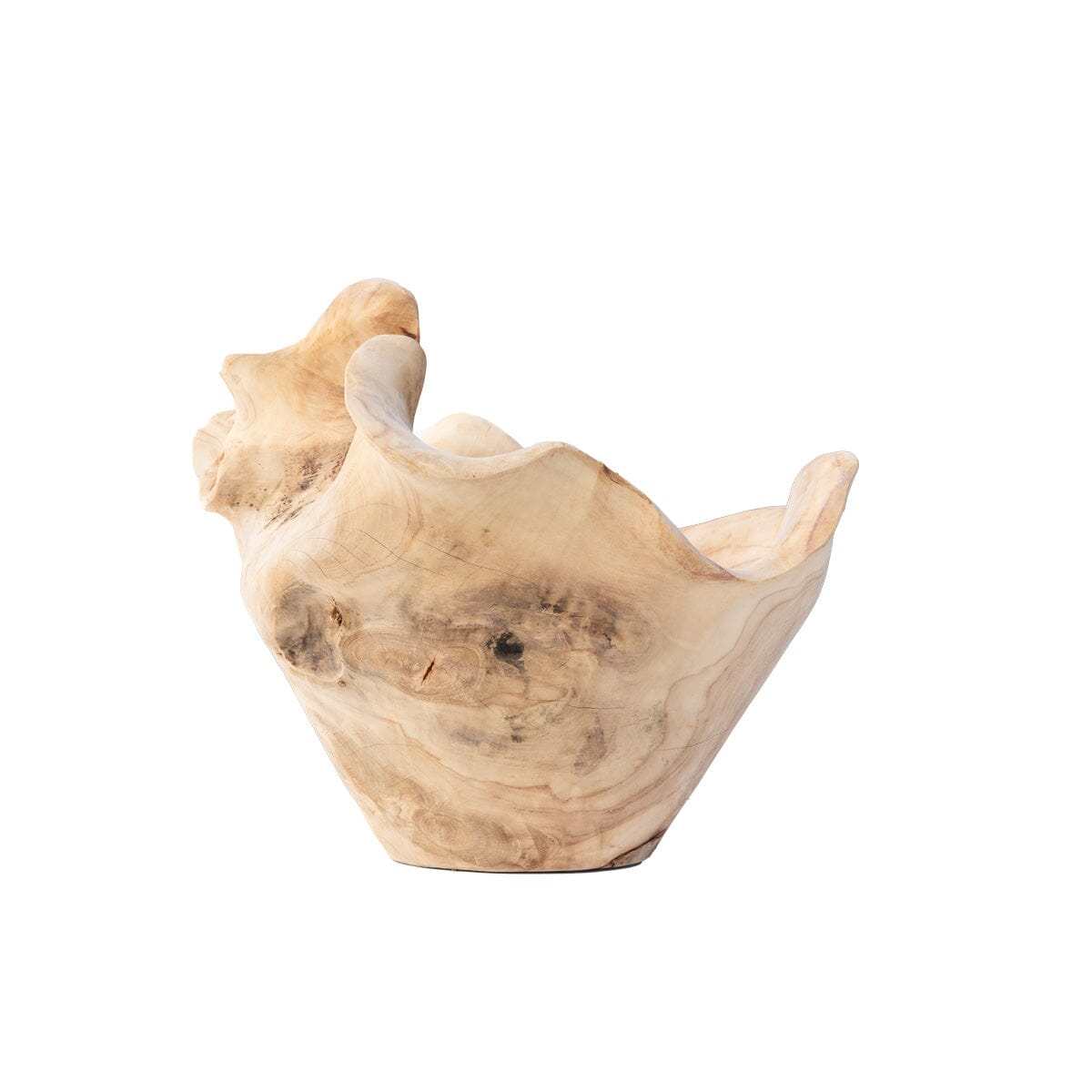 Organic Teak Vessel I