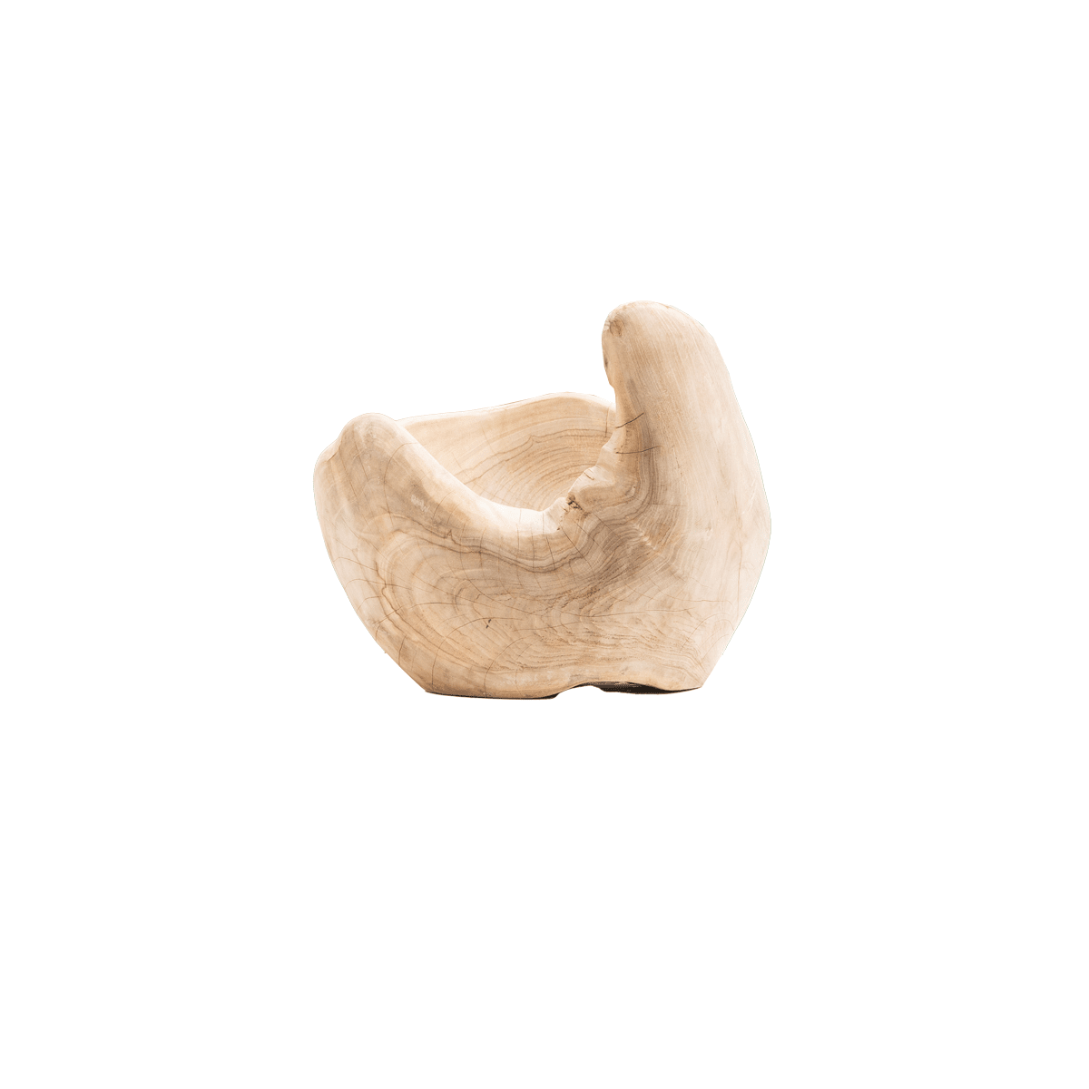 Organic Teak Vessel II