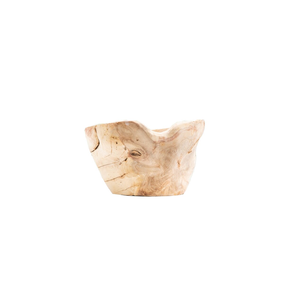 Organic Teak Vessel III