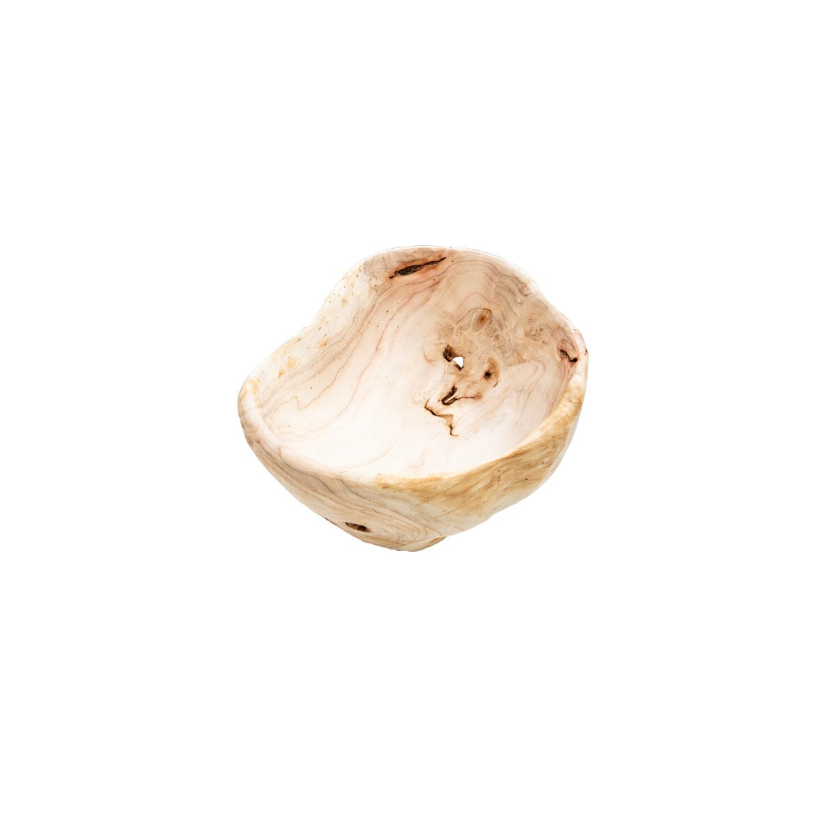 Organic Teak Vessel IV