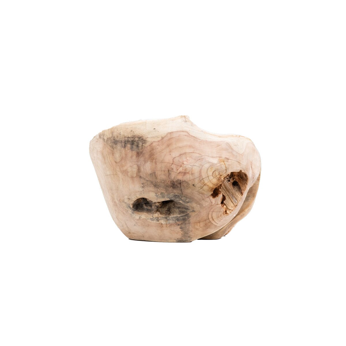 Organic Teak Vessel V