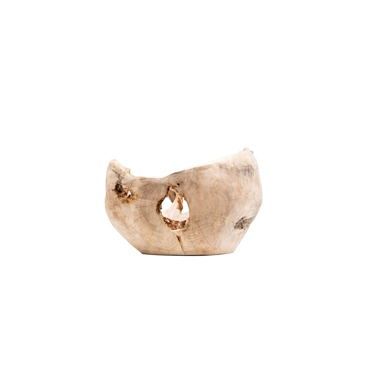 Organic Teak Vessel V